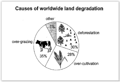 land degradation essay ielts